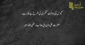 islamic quotes in urdu (9)